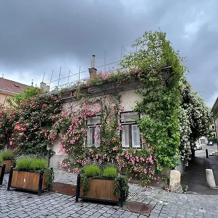 Διαμέρισμα Downtown Romantic *